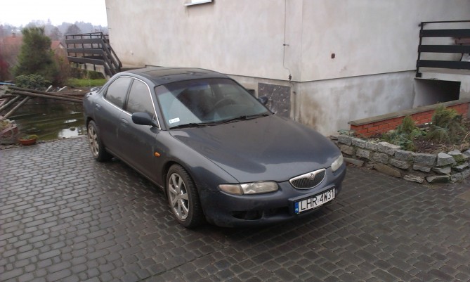 IMAG0012.jpg