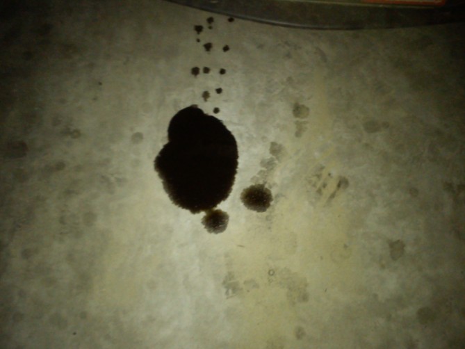 DSC_0082.jpg