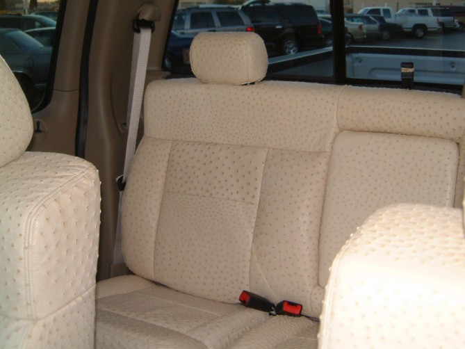 ostrich-custom-car-interior-upholstery_lg.jpg