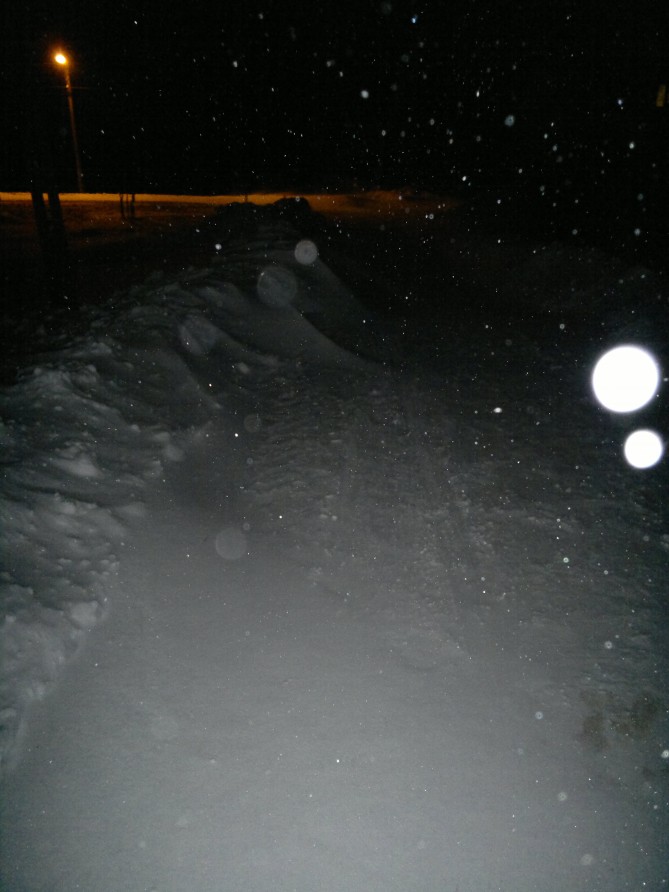 2014-01-29-805.jpg