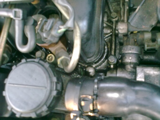 02092008_001.jpg