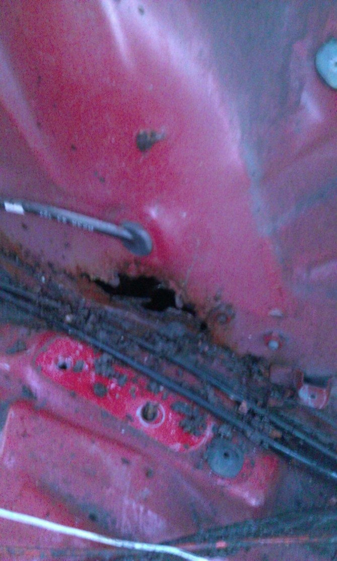 WP_20140223_009.jpg