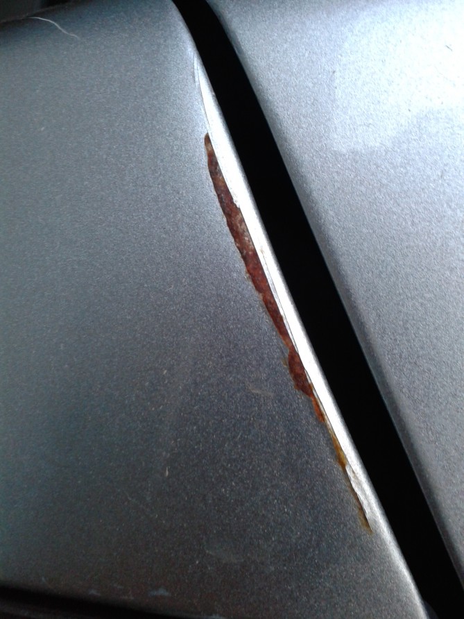 20140320_175549.jpg