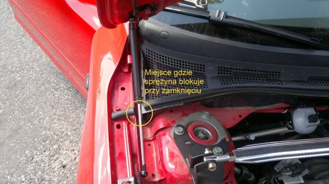 sprezyna3.jpg