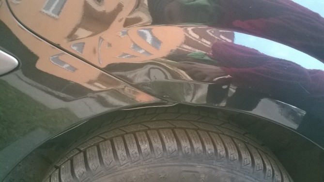 WP_20140306_005.jpg