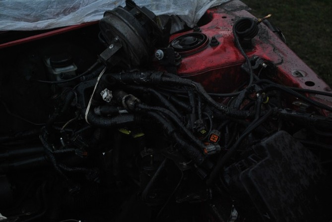 DSC_2227.JPG