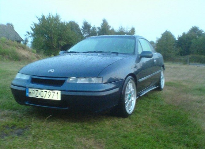 calibra1.jpg