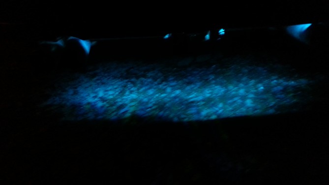 20140428_214841.jpg