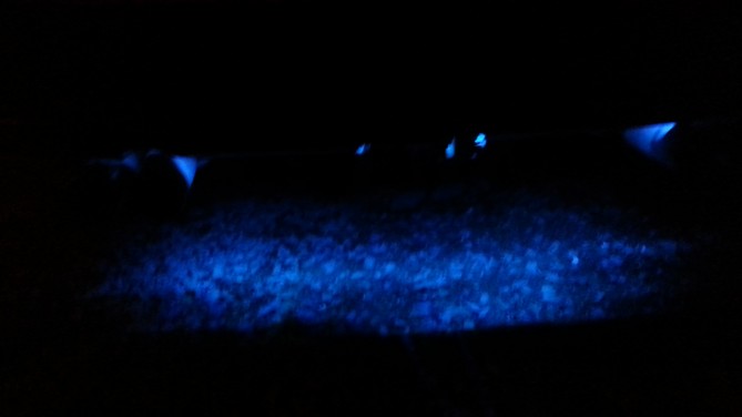20140428_214845.jpg