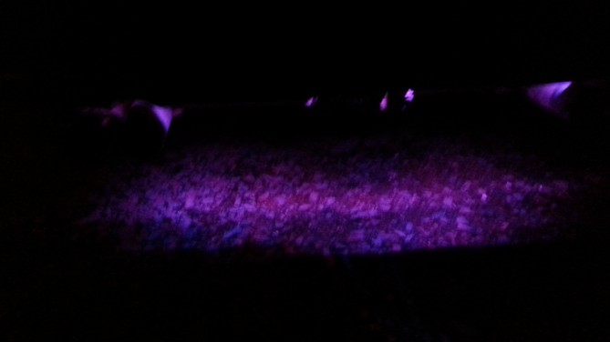 20140428_214851.jpg