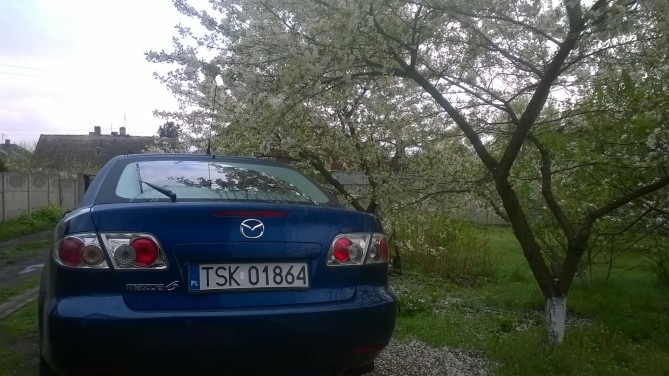 WP_20140428_003.jpg