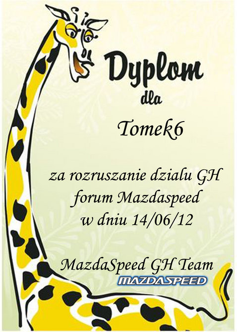 tomek.jpg