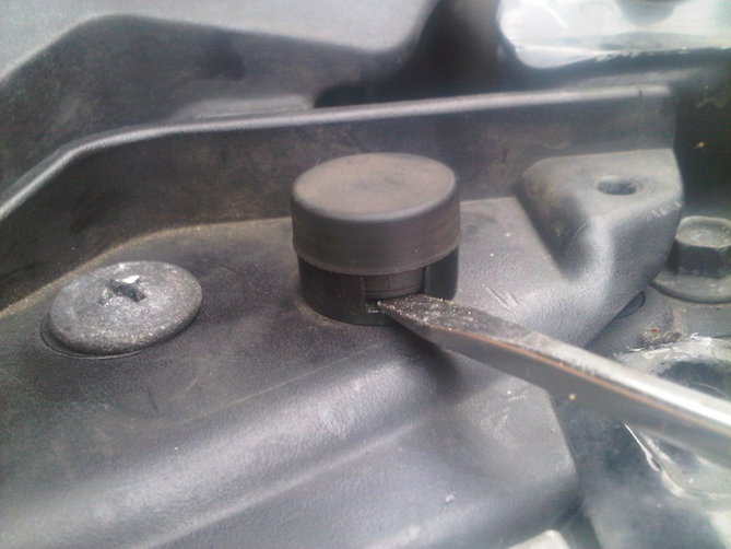 IMG-20120617-00195.jpg