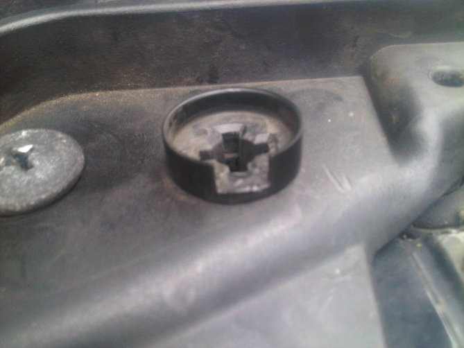 IMG-20120617-00194.jpg