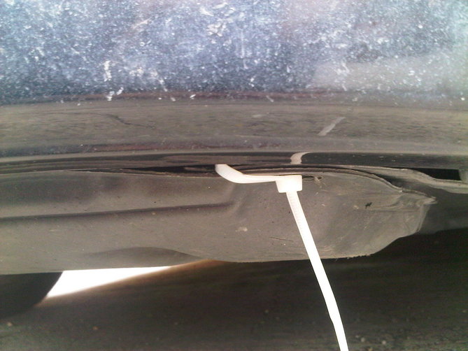 IMG-20120617-00213.jpg