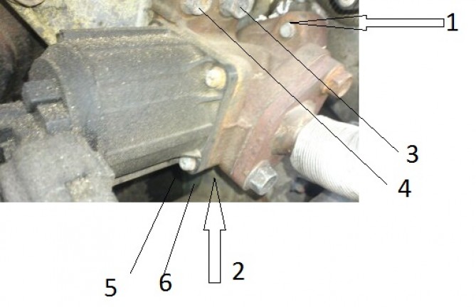 egr.jpg