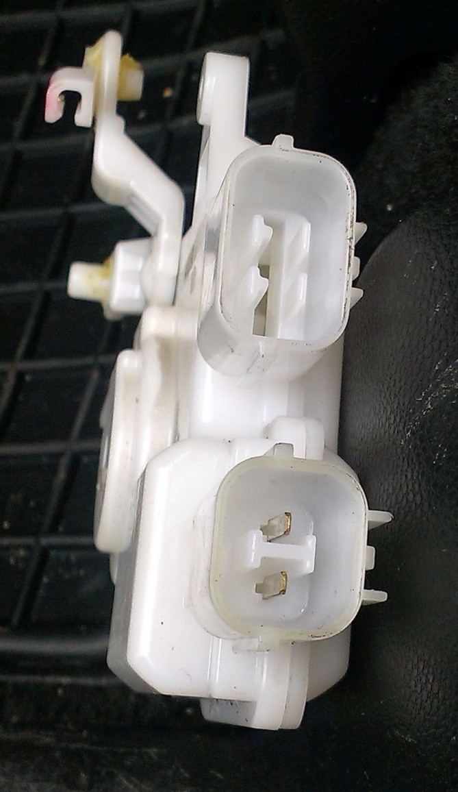 IMAG0453.jpg
