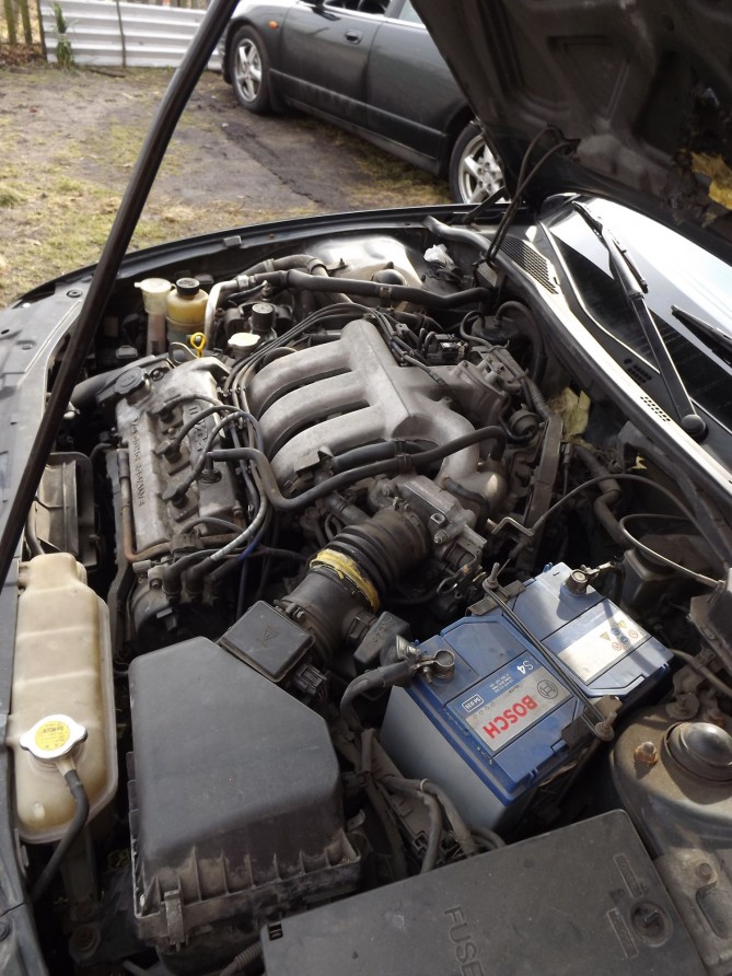 DSCF3508.JPG