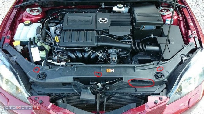 C33581449_10.jpg