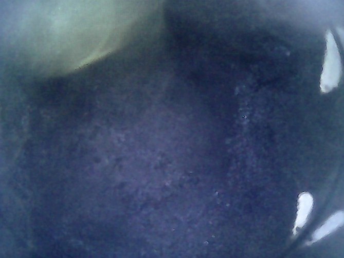 Still0001 (Kopiowanie).jpg