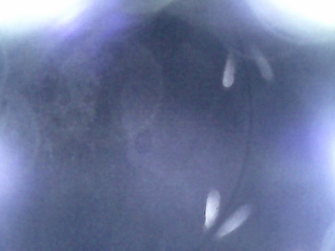 Still0004 (Kopiowanie).jpg