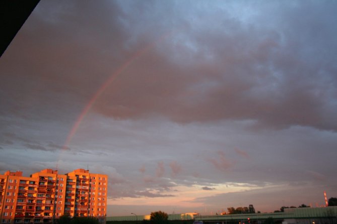 IMG_5981.JPG