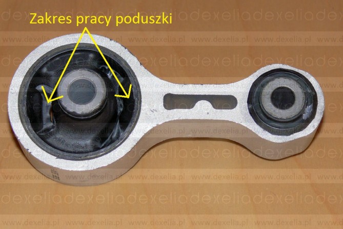 P1120600.jpg