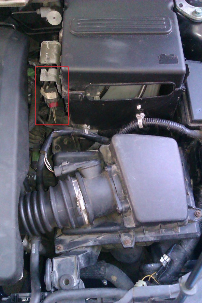 IMAG0948.jpg