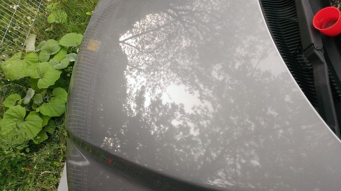 WP_20140719_002.jpg
