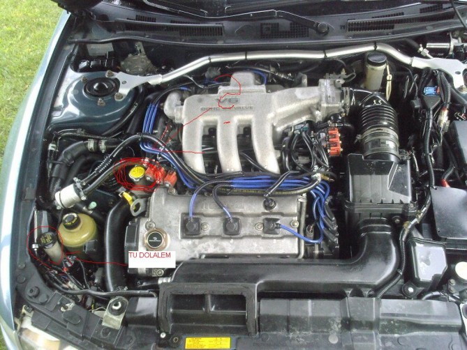 33154910020_large.jpg
