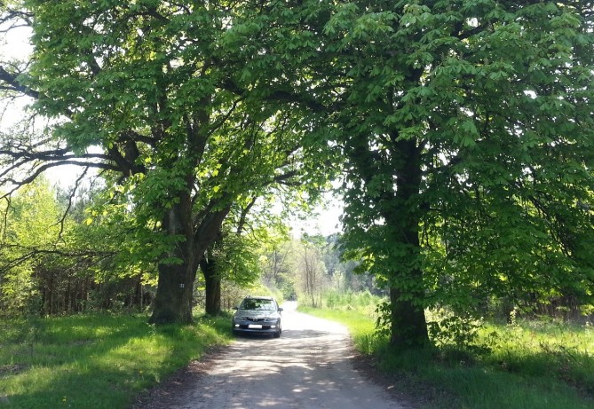 20140501_145226.jpg