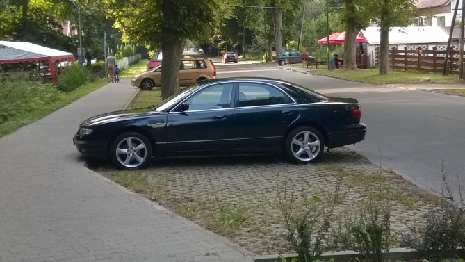 WP_20140807_004.jpg