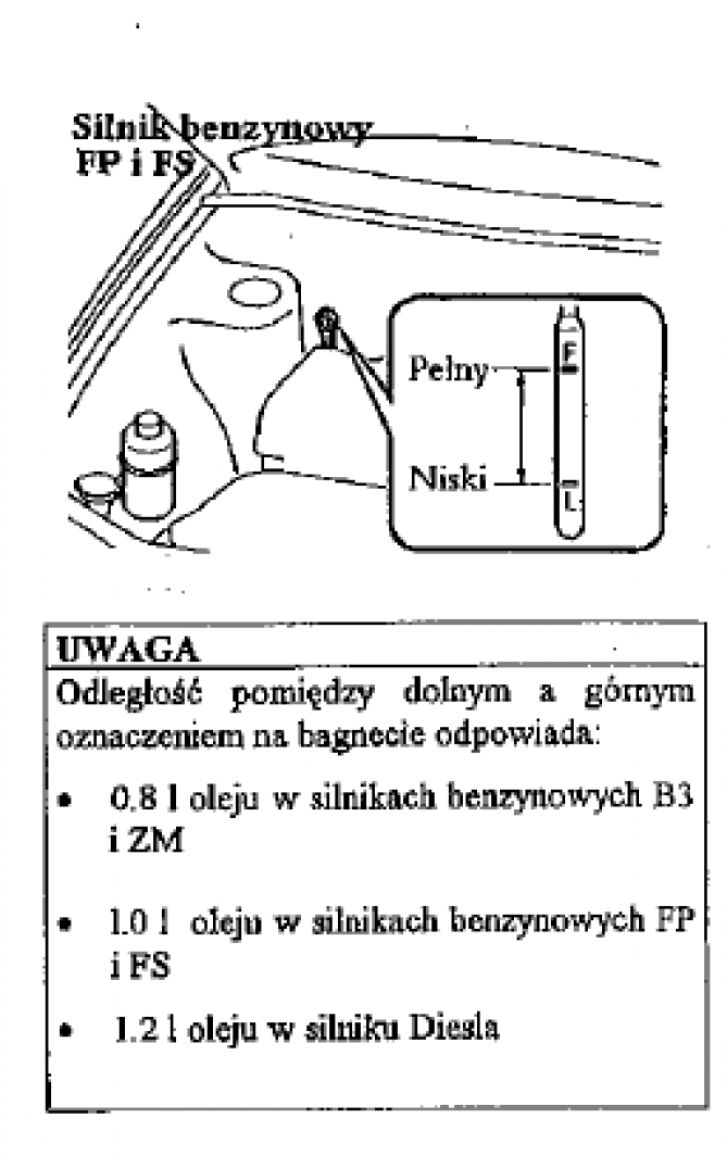 Bez tytułu.png