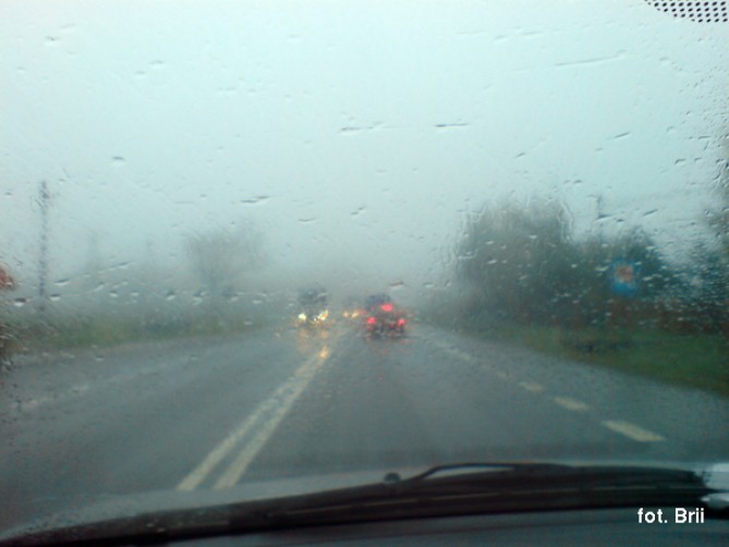 dsc00719.jpg