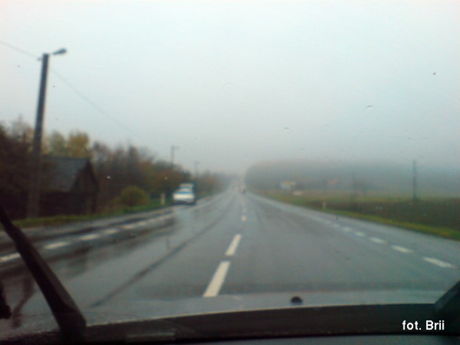 dsc00731.jpg