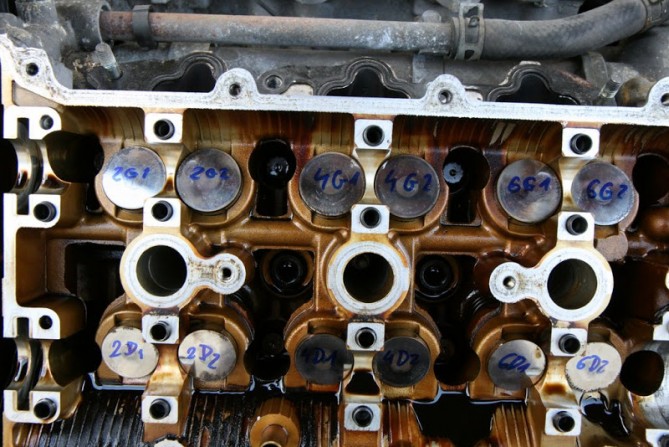 f268091.jpg