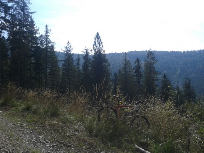 20140907_122318.jpg