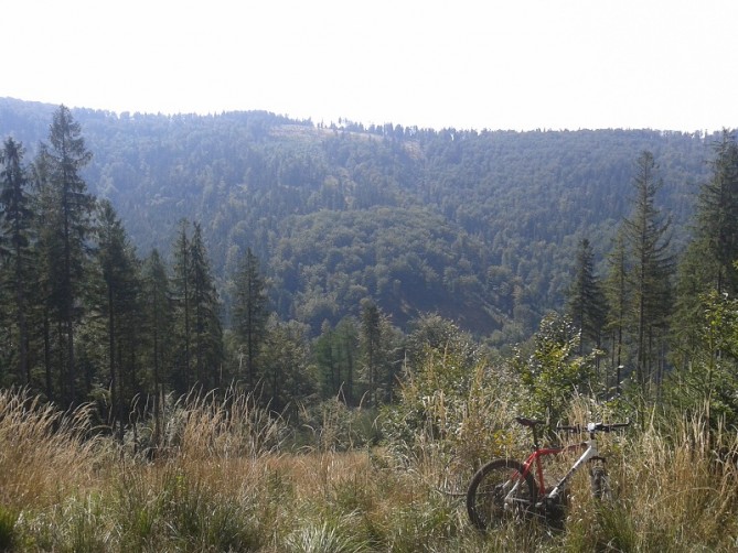 20140907_122333.jpg
