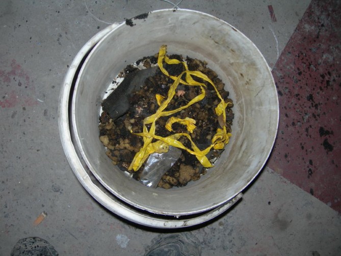 r1.jpg