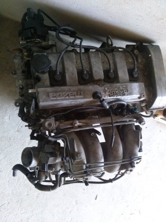 CAM00555.jpg