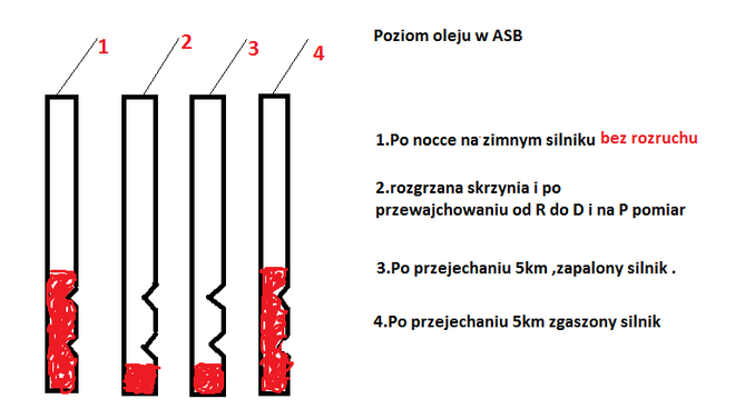 Bez tytułu.png