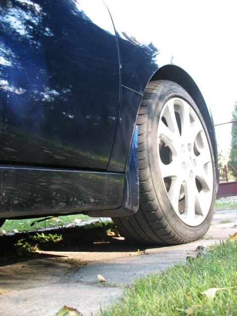 img3523i.jpg
