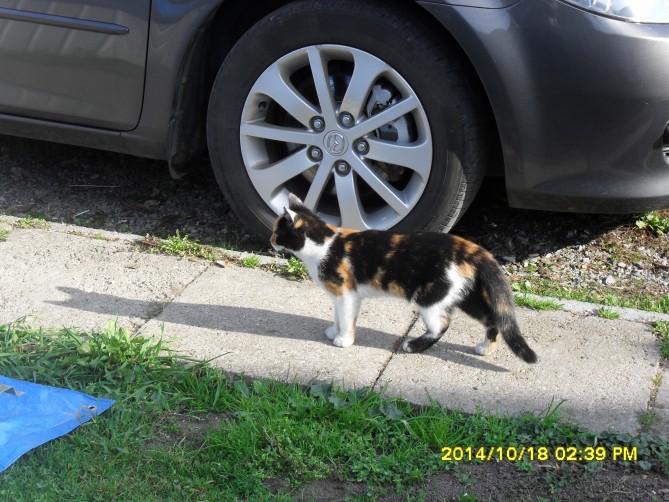 SDC12062.JPG