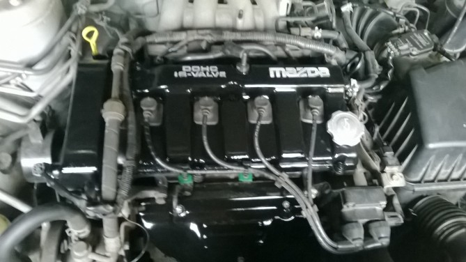 WP_20140816_002.jpg