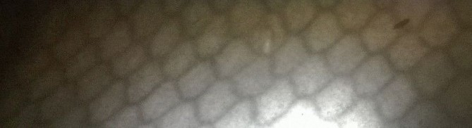 WP_20141123_016.jpg