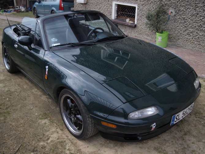 z2.jpg