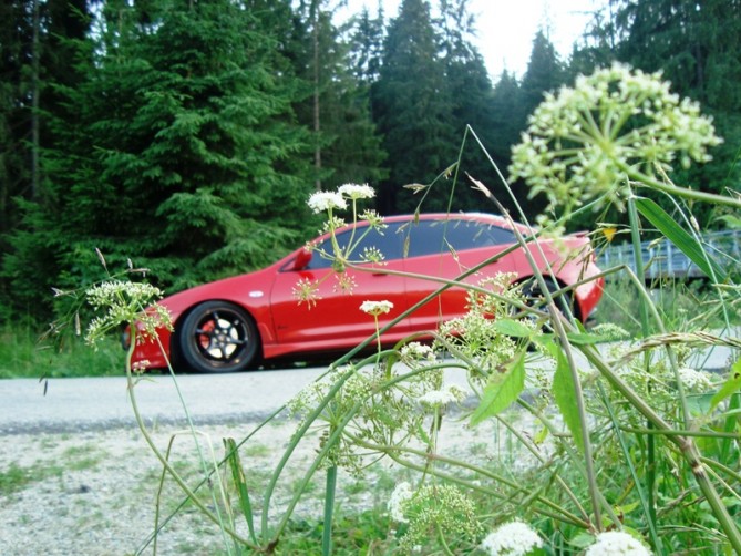 z8.jpg
