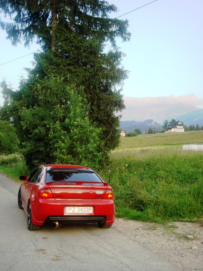 z11.jpg