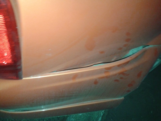 20141103_175544.jpg