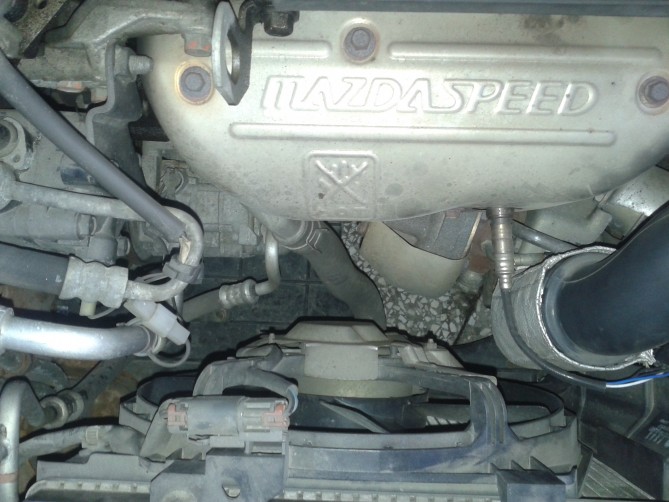 20141024_172408.jpg